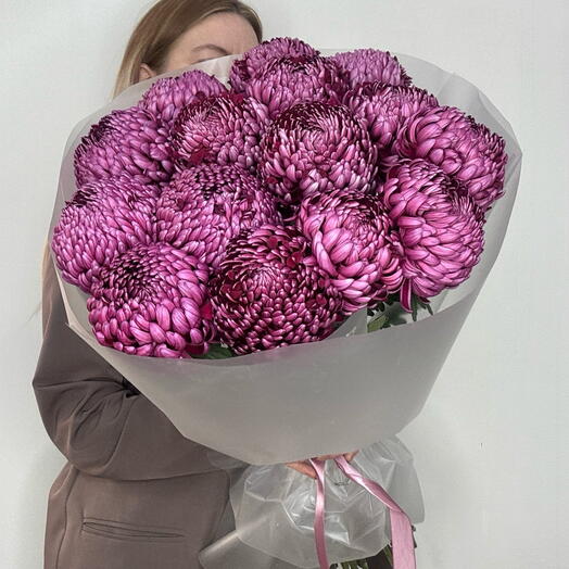 Букет Вау-эффект 💟 Хризантемы сорта Бигуди Пурпур, 15шт