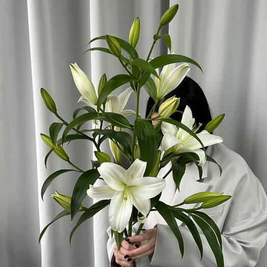 Лилия 3 ветки премиум