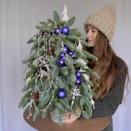 "Снежная королева" композиция из Нобилиса в виде елки