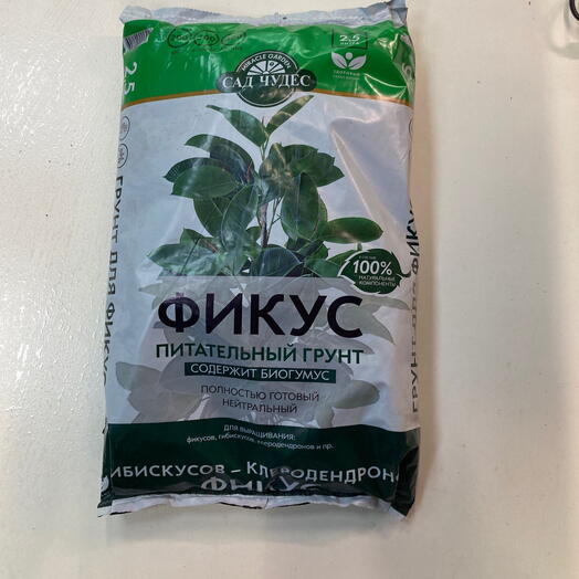 Грунт для фикуса