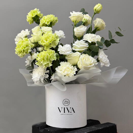 Viva Signature · Lime М