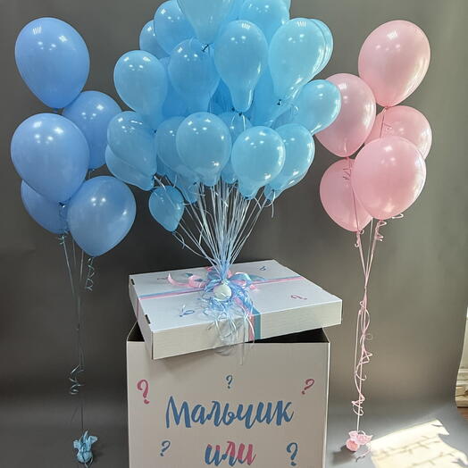 Коробка на гендерпати