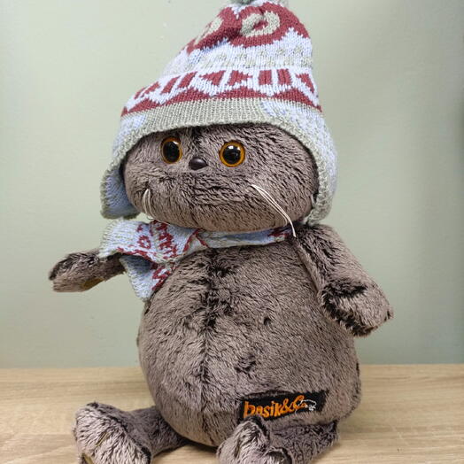 Кот в голубой шапочке