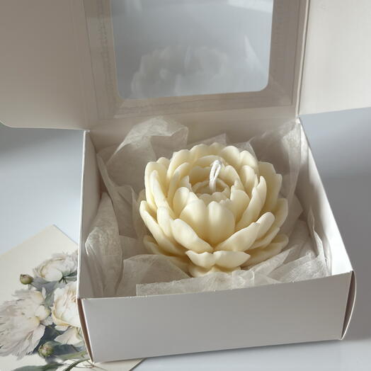 Peony Candle