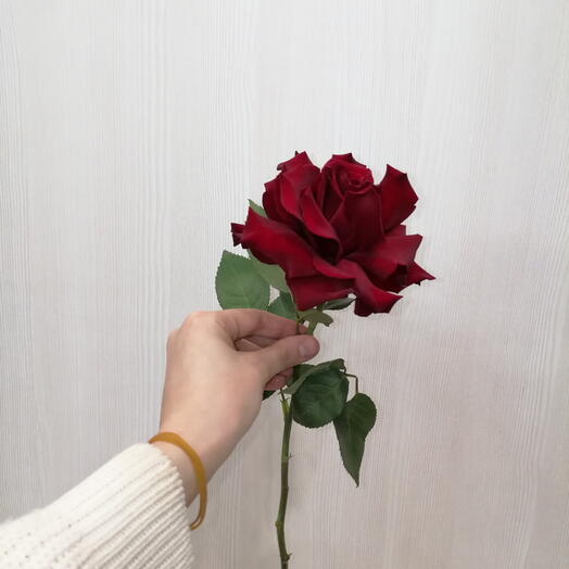 Французская роза