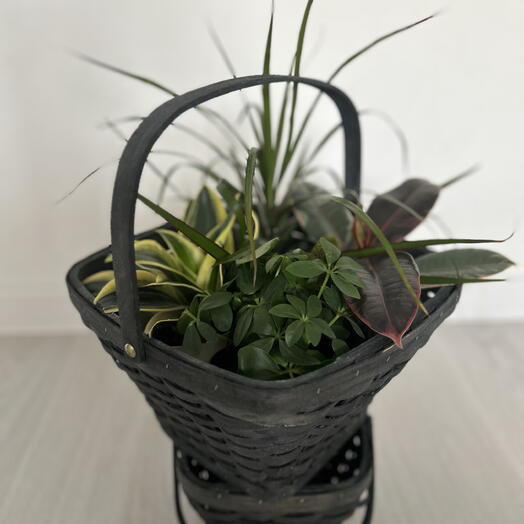 Корзинка ‘GreenLoft  🐦‍🔥( L )