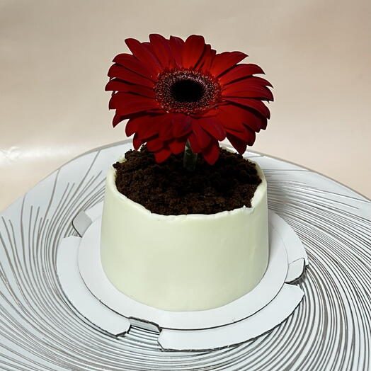 Бенто торт на 8 марта в виде цветочного горшка