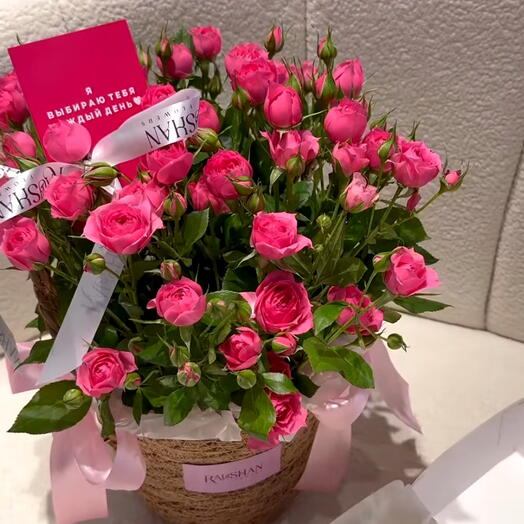 Кашпо с Софи