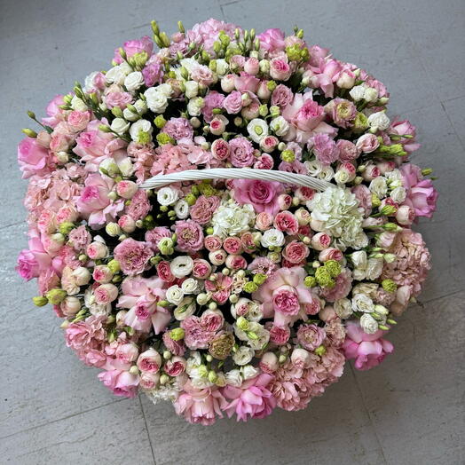 Blooming Dream