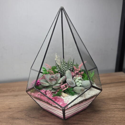 Флорариум с суккулентами в подарок "Нежность "