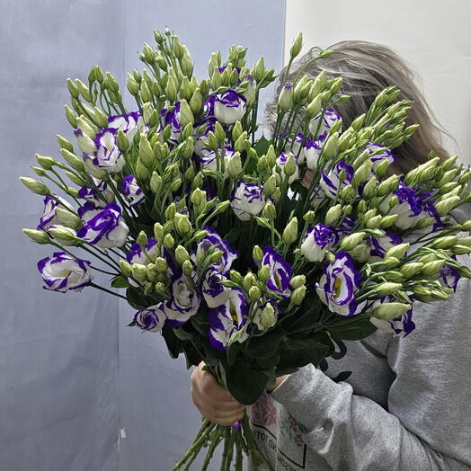 Эустома 15, 15