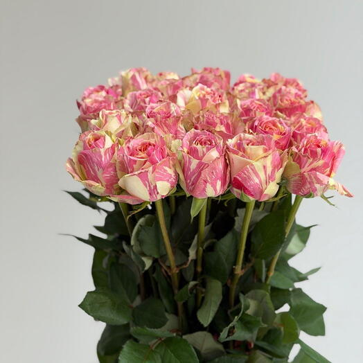 Роза Pink Intuition