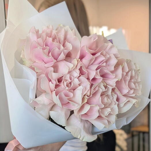 🩷Французские розы - Пинк мондиаль🌸