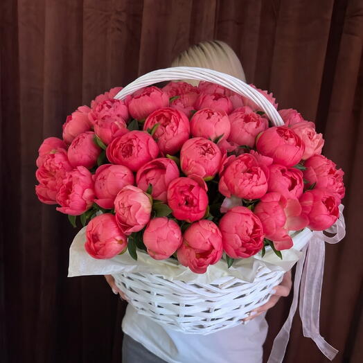 51 пион