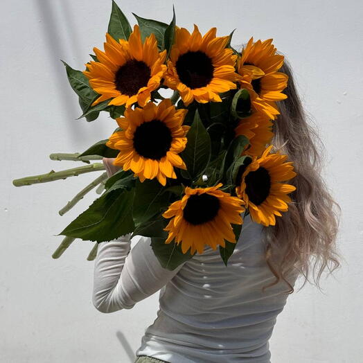 Подсолнухи 🌻