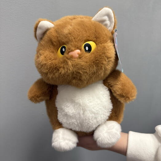 Котик