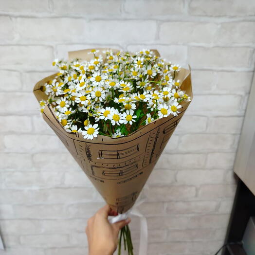 Солнечный сад