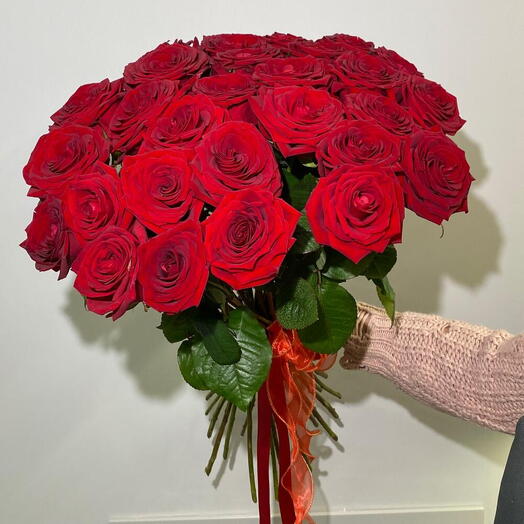 Моно из 25 красных роз