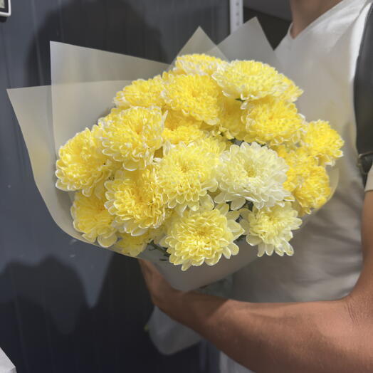 Пышный букет из хризантемы Лимон 🍋  в современной упаковке на День Семьи