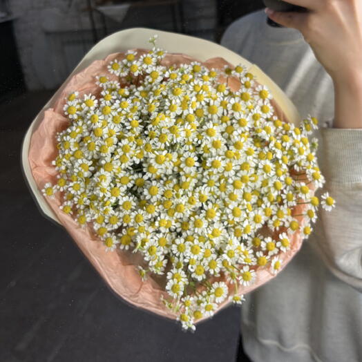 Моно ромашки кустовые