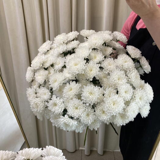 Кустовая хризантема Алтай