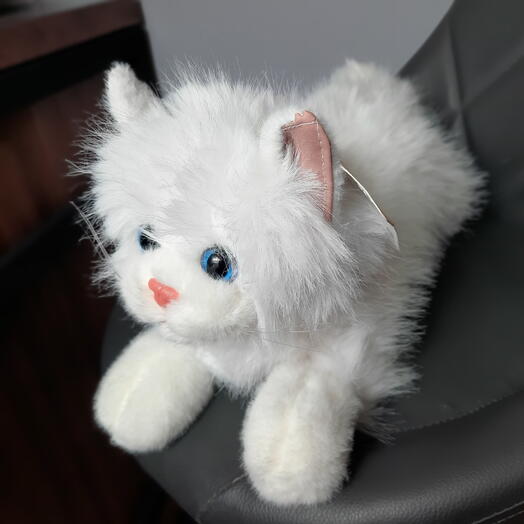 Кошка Белый окрас голубые глаза