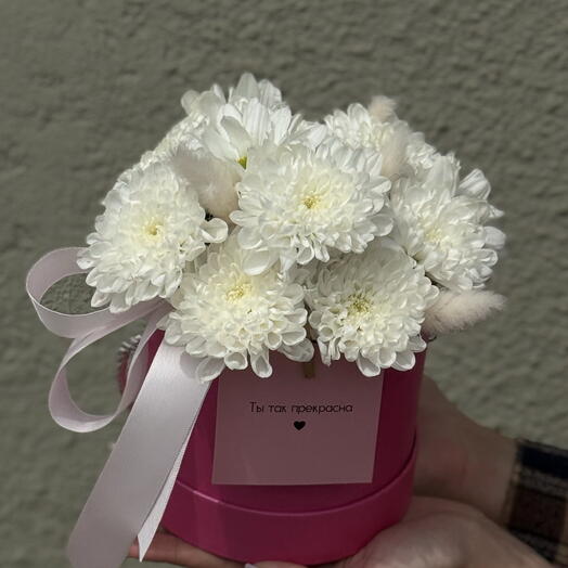 Композиция из ромашек для девушки🌸️