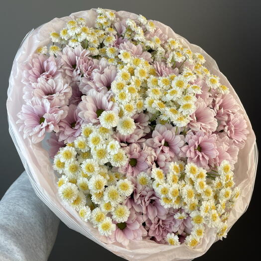Розовые хризантемы с ромашками