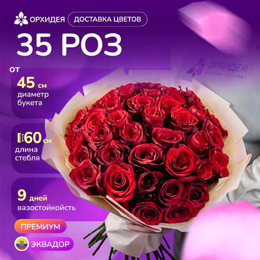 35 роз Эксплорер