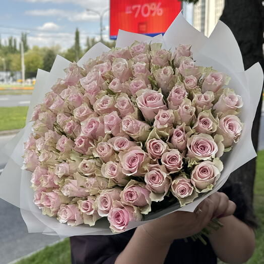 Розовая Роза 75