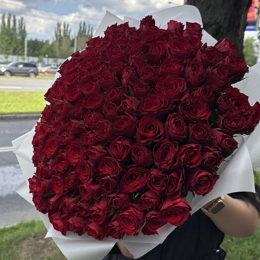 Не крупная бордовая Роза