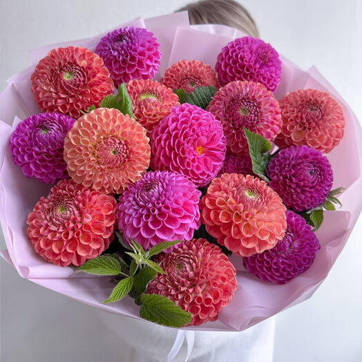 Dahlias