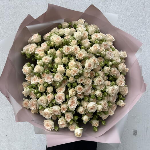 29 bush roses