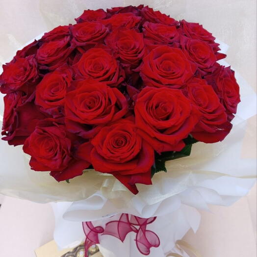 23 Holland 🌹+ Fererro Rocher