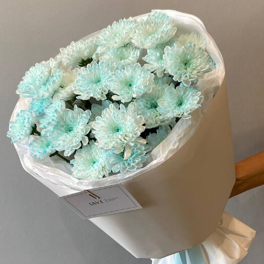 Хризантема голубая