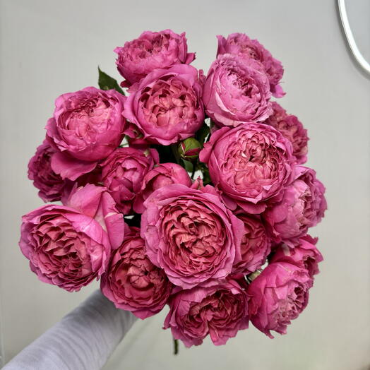 Роскошный букет из 5 кустовых роз Джульетта 🌺
