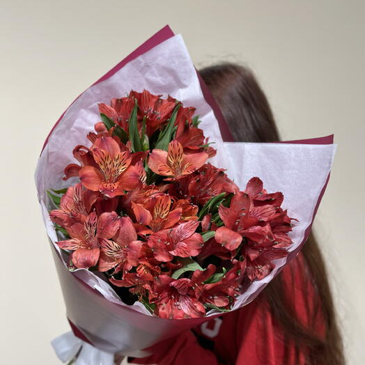 Моно Бордовых Альстромерий 9 штук