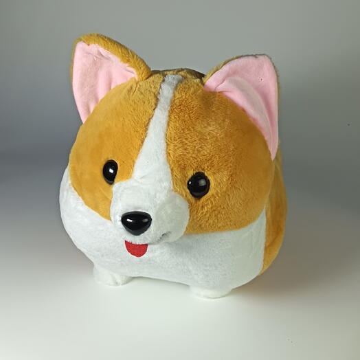 Корги