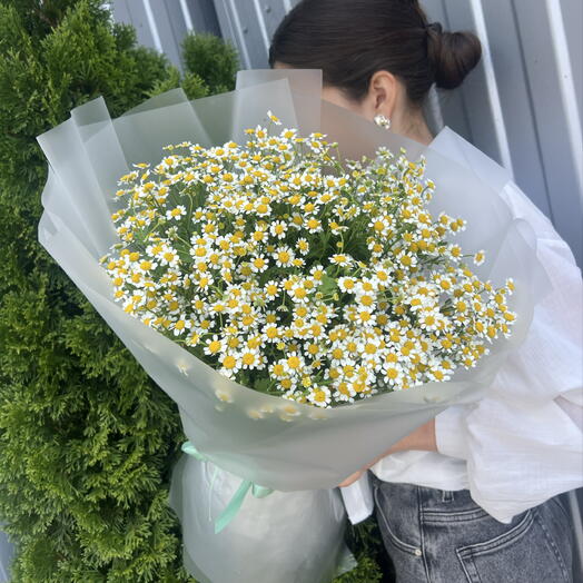 Матрикари 💐