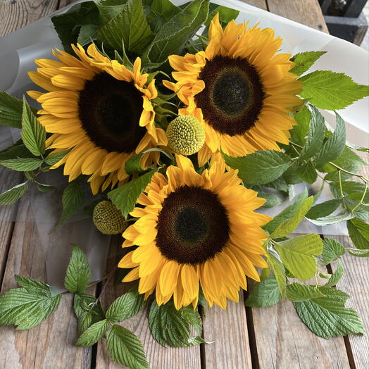 Букет солнечных подсолнухов 🌻