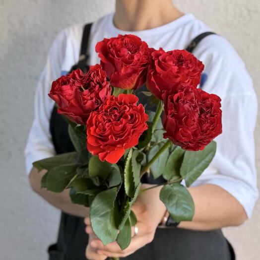 5 пионовидных роз Рей Ай