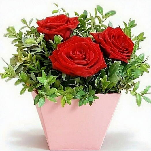 Красные розы в коробке 🌹🌹🌹