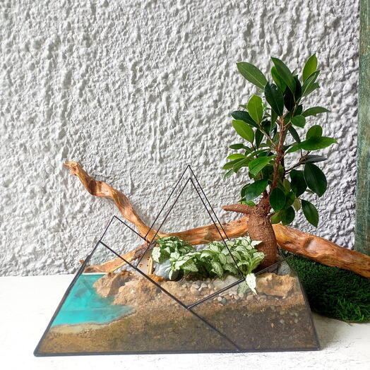 Florarium "casa en las montañas"