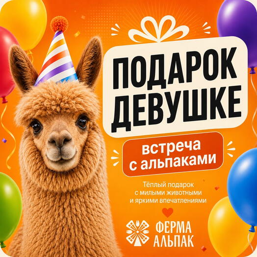 Необычный подарок девушке — встреча с альпаками на Ферме Альпак в Ставрополе (Темнолесская)
