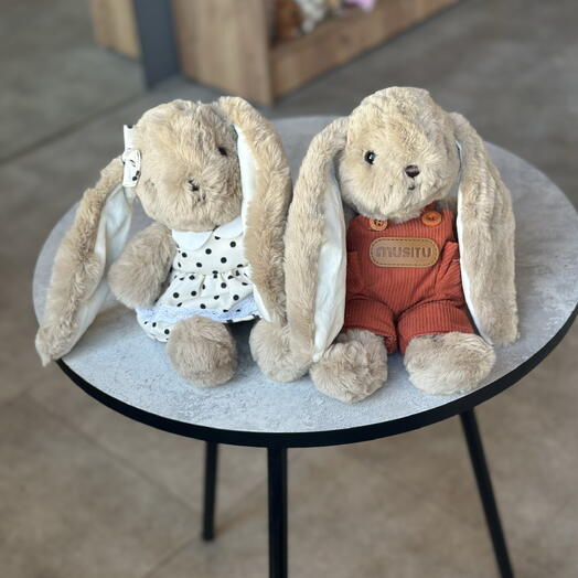 Сладкая парочка Зайцев🐰