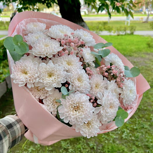 Фламинго