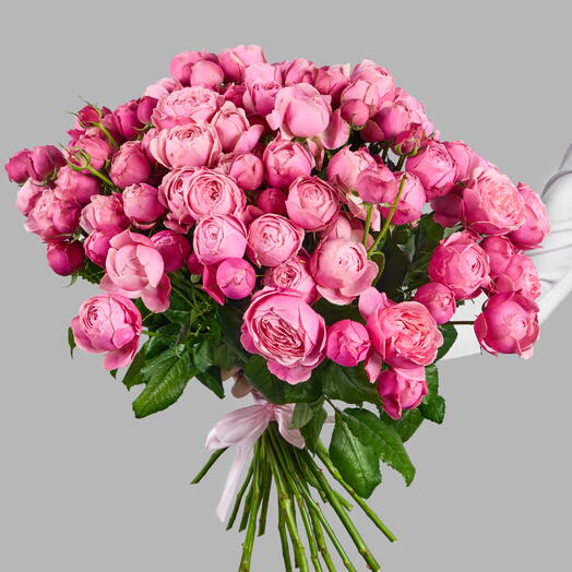 Букет «Розовые лепестки» из 25 пионовидных кустовых роз Silva Pink под ленту