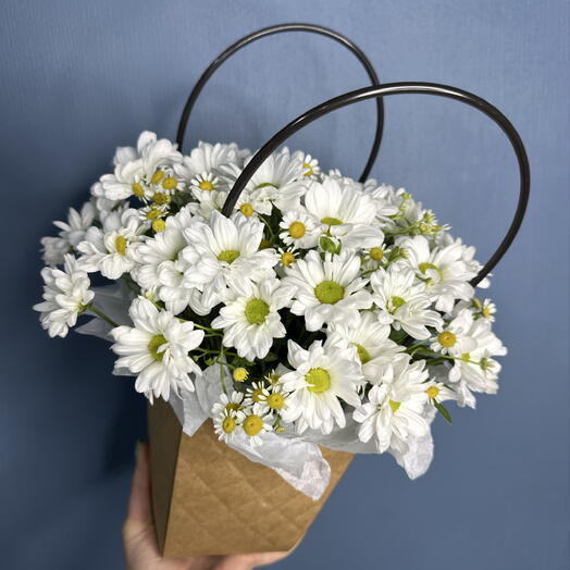 BOflora