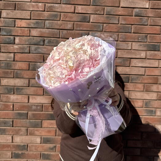 Гортензия Розовая 🌸