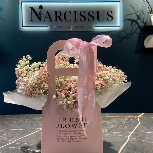 NARCISSUS